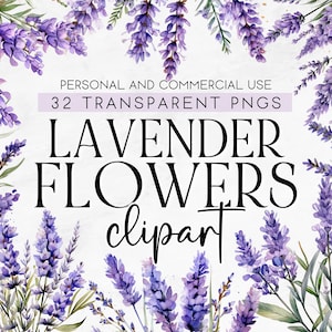 32 minimalistische Lavendel Blumen Clipart, lila Lavendel Blumen, Hochzeit Blumen Clipart, kommerzielle Nutzung Clipart, transparent PNG