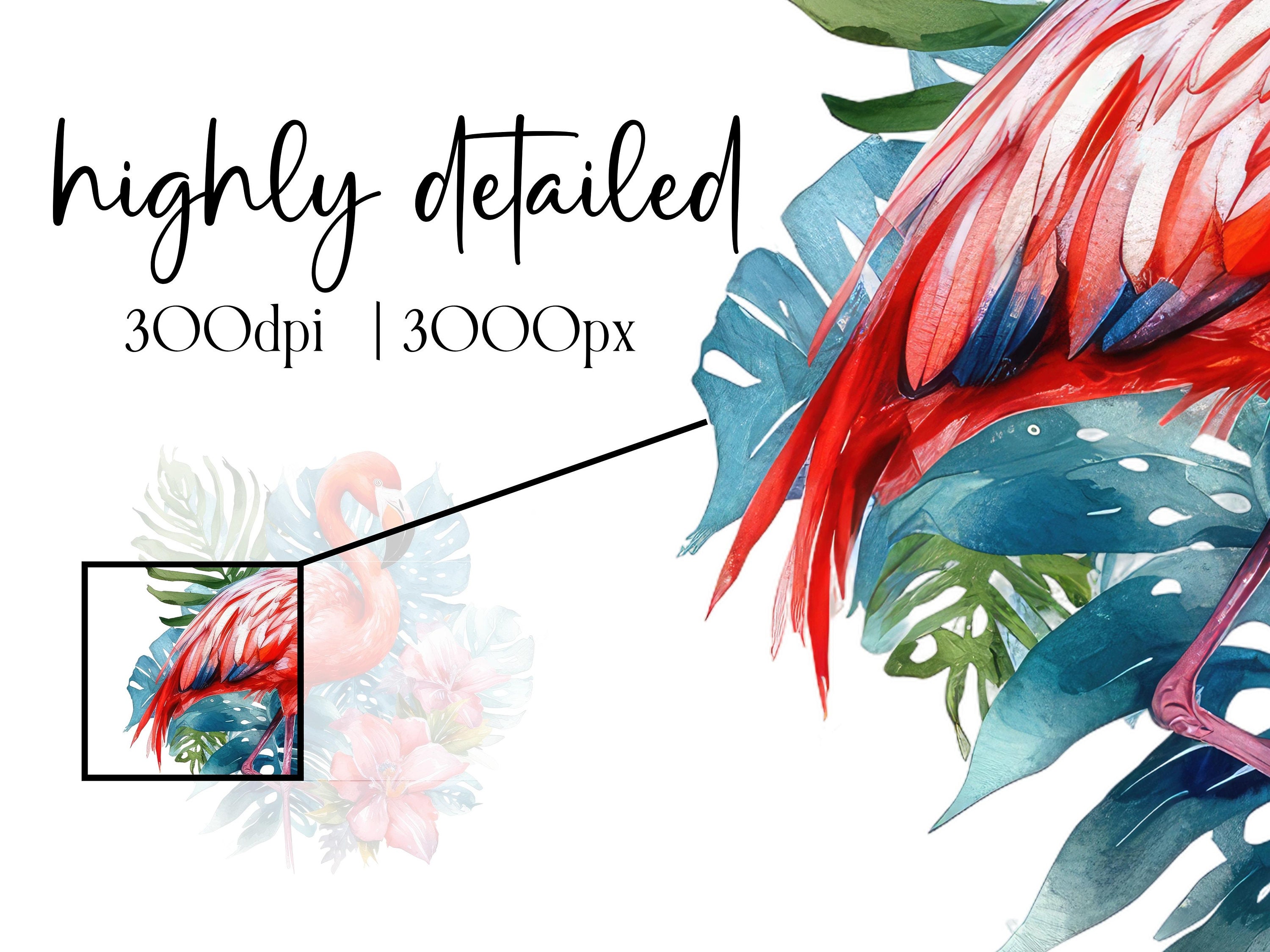 11 Tropical Flamingo Clipart PNG, Commercial Use Flamingo Clipart