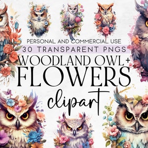 30 Woodland Owls and Flowers Clipart, Woodland Animals Clipart, Commercial Use Clipart, Transparent PNG, Instant Download, Watercolor Owls