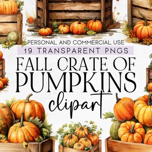 19 Crate of Pumpkins Fall Clipart, Farm Fresh Clipart, Autumn Clipart, Fall Clipart, Watercolor Fall Pumpkins Clipart, Commercial Use PNG