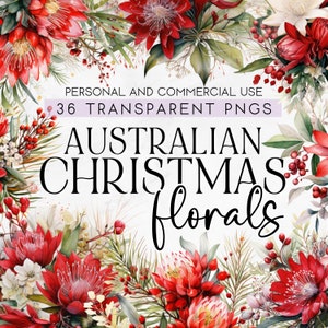 36 Australian Christmas Floral Clipart, Australian Native Flowers, Commercial Use Clipart, Transparent PNG Australian Florals Christmas PNG