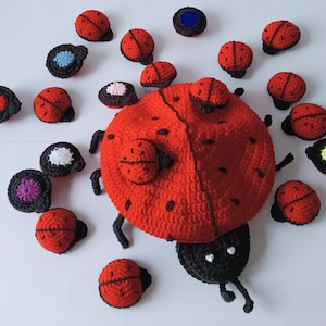 Peut inclure: Une grande coccinelle crochetée avec une carapace rouge à pois noirs et une tête noire aux yeux blancs, entourée de nombreuses petites coccinelles crochetées et de pièces circulaires à base noire avec des centres colorés rouge, bleu, rose, blanc et jaune.
