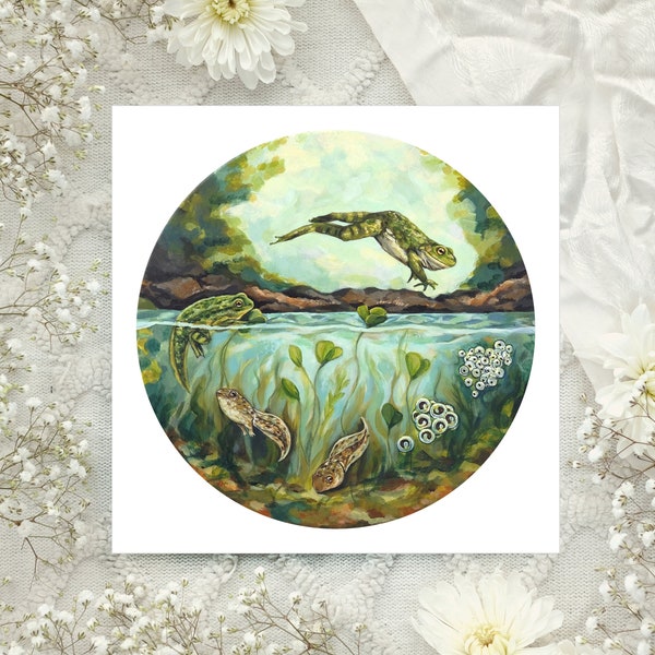 FROG ART PRINT - 8x8 - Frog Life Cycle Illustration - Frog Decor - Cottagecore Room Decor - Botanical Art - Dorm Room Wall Art