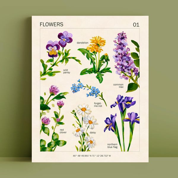 Wildflower Botanical Art Print – Vintage Cottagecore Poster (8x10)