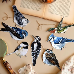 Guirlande d'oiseaux - oiseaux du Québec, Canada - guirlande de papier botanique - décoration de chambre cottagecore - cadeau pour les amateurs d'oiseaux - décoration de chambre d'enfant bois