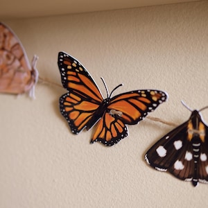 May include: A decorative garland featuring multiple paper butterfly cutouts attached to a thin brown twine string. The central butterfly displays the orange and black wing pattern of a monarch, while others show brown and black moth designs.