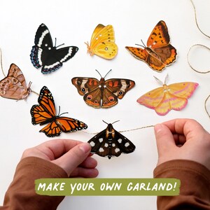 May include: A collection of eight distinct butterfly and moth cutouts in various colors including orange, yellow, brown, and black, featuring holes for threading. A piece of twine is included to string the insects together, with text reading MAKE YOUR OWN GARLAND!
