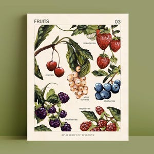 LÁMINA DE ARTE DE FRUTAS - 8x10 - Póster vintage - Arte botánico - Decoración cottagecore - Arte mural de cocina - Póster educativo Montessori de frutas