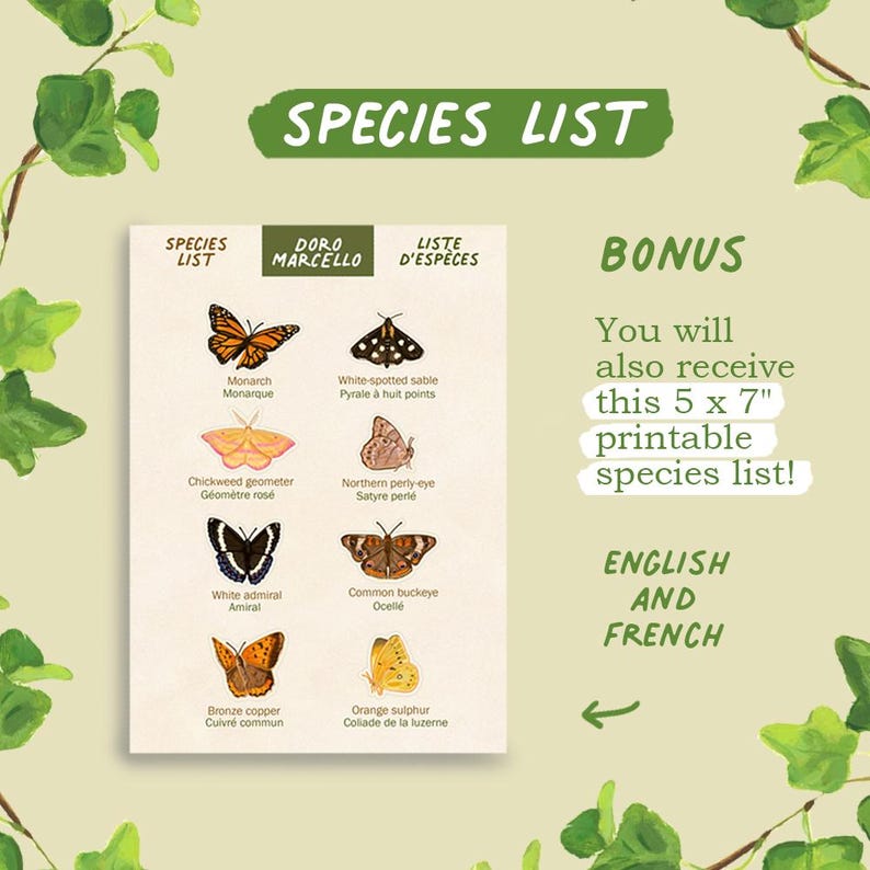 May include: A 5 x 7 inch printable species list featuring illustrations of eight butterflies including the Monarch, Chickweed geometer, White admiral, Bronze copper, White-spotted sable, Northern perly-eye, Common buckeye, and Orange sulphur.