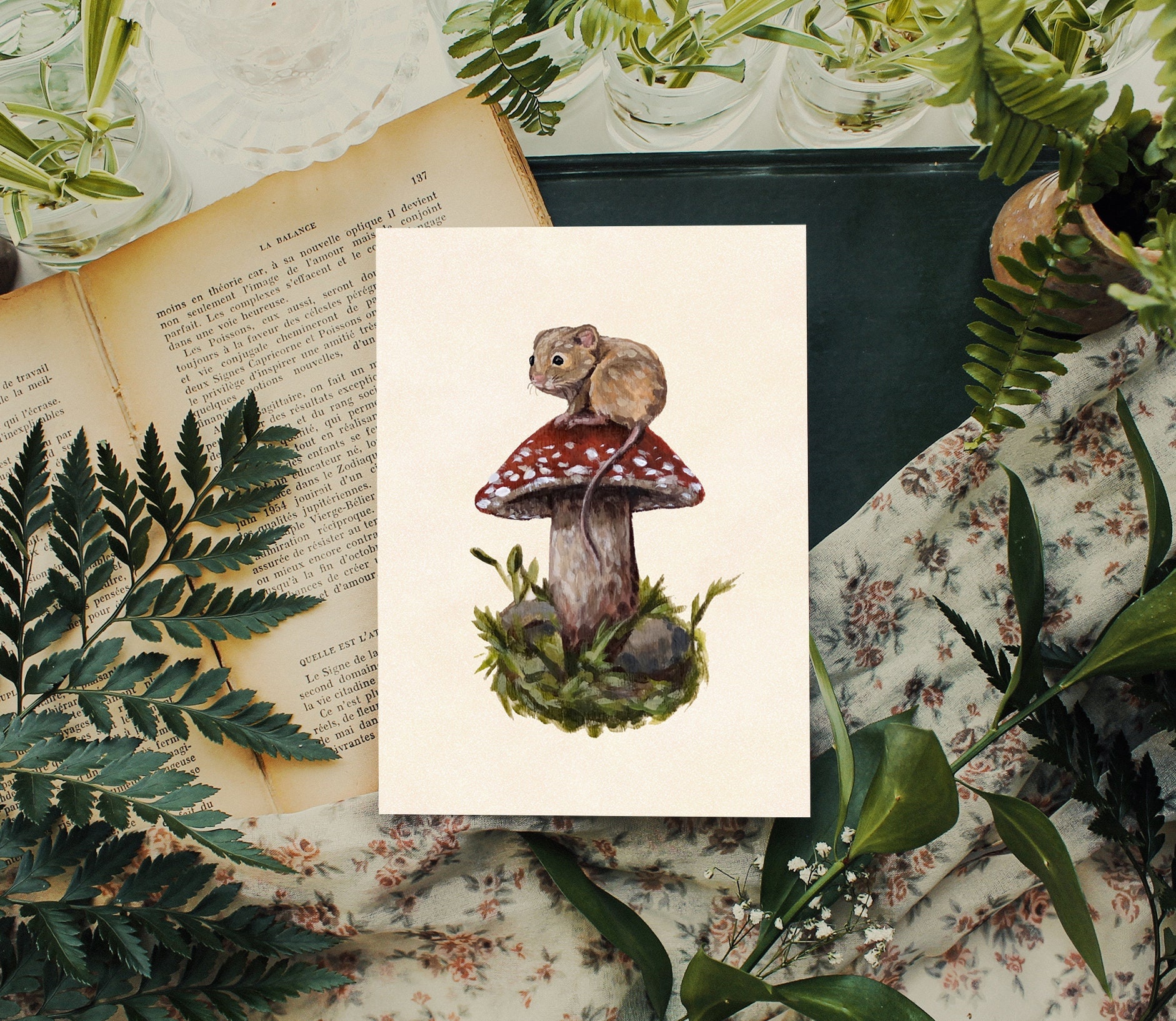SET OF 3 Cute Fairycore Art Print Bundle 4x5 Raccoons, Mushrooms