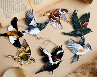 May include: A decorative garland featuring six distinct bird cutouts in flight, including species with black, white, yellow, brown, and red plumage. The birds are connected by a thin, natural-colored twine string, creating a suspended display.