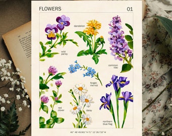 FLOWERS ART PRINT - 8x10 - Vintage Flower Poster Style - Botanical Art - Cottagecore Room Decor - Floral Wall Art - Wildflowers Painting