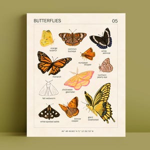 IMPRESSION D'ART PAPILLON - 8 x 10 - affiche vintage - décoration botanique papillons - décoration de chambre Cottagecore - affiche éducative Montessori papillon