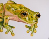 ORIGINAL ACRYLIC PAINTING - 5x5'' - Green and Yellow Frog Painting - La Palma Glass Frog Art - Cottagecore Room Decor - Frog Illustration