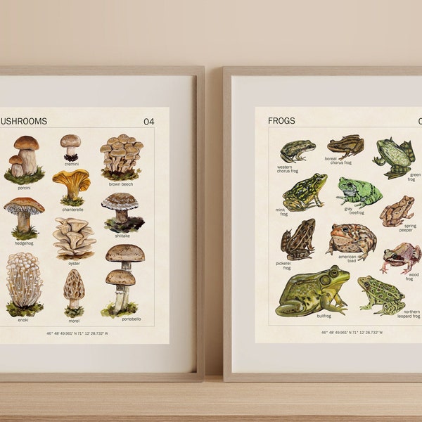 Frog and Mushroom Art Print Set - SET OF 2 - Vintage Poster - 8x10 - Goblincore - Frog Art - Botanical Art - Cottagecore Room Decor