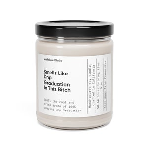 Dnp Graduation Gift, Doctor of Nursing, DNP Gift, Nurse Practitioner, Graduation Gift, DNP, FNP Gift, Scented Soy Candle, 9oz, Smells Like