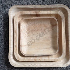 Piatti quadrati foglia di palma Areca (confezione da 25 piatti) / Piatti biodegradabili / Piatti compostabili ecologici per feste BIOCARTZ