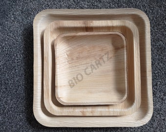 Areca Palm Leaf Square Party Plates | Biodegradable, Eco-Friendly (Pack of 25)