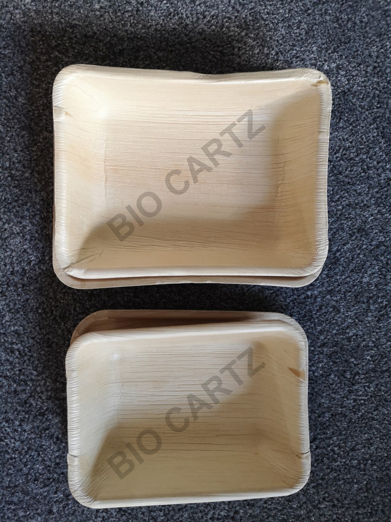 May include: Two rectangular, light brown, disposable plates made from palm leaves. The plates are stacked on top of each other. The text "BIO CARTZ" is printed on both plates.