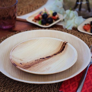 Areca Palm Leaf Plates (Pack of 20 round plates) | Biodegradable Plates | Compostable Eco-Friendly Party Plates BIOCARTZ