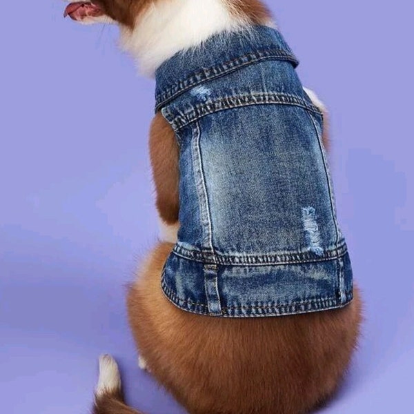 Denim Dog Jacket Shop Online Etsy