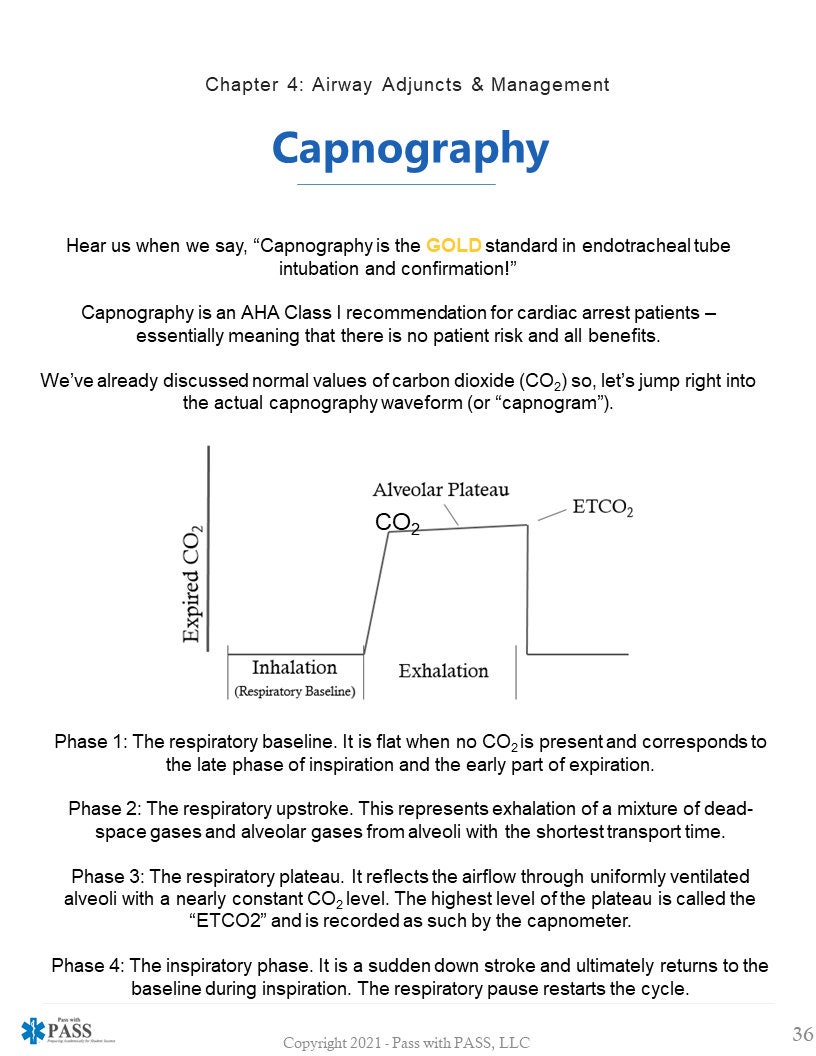 Paramedic Respiratory & Airway Study Guide - Etsy