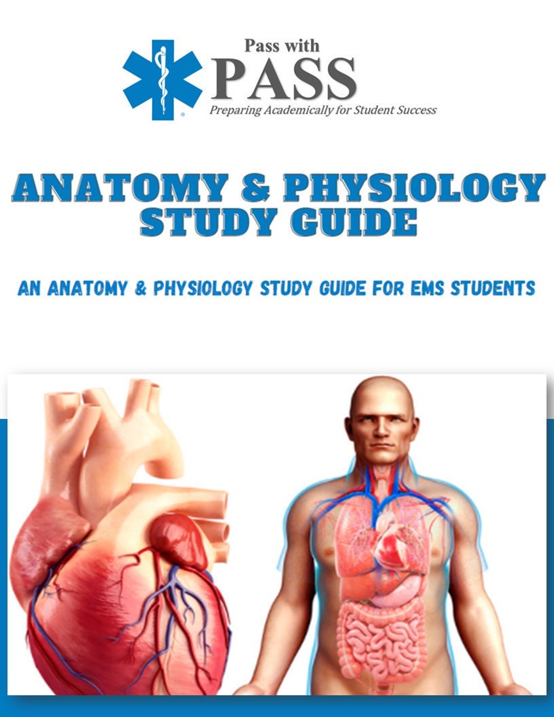 Anatomy & Physiology Study Guide for EMS Students - Etsy