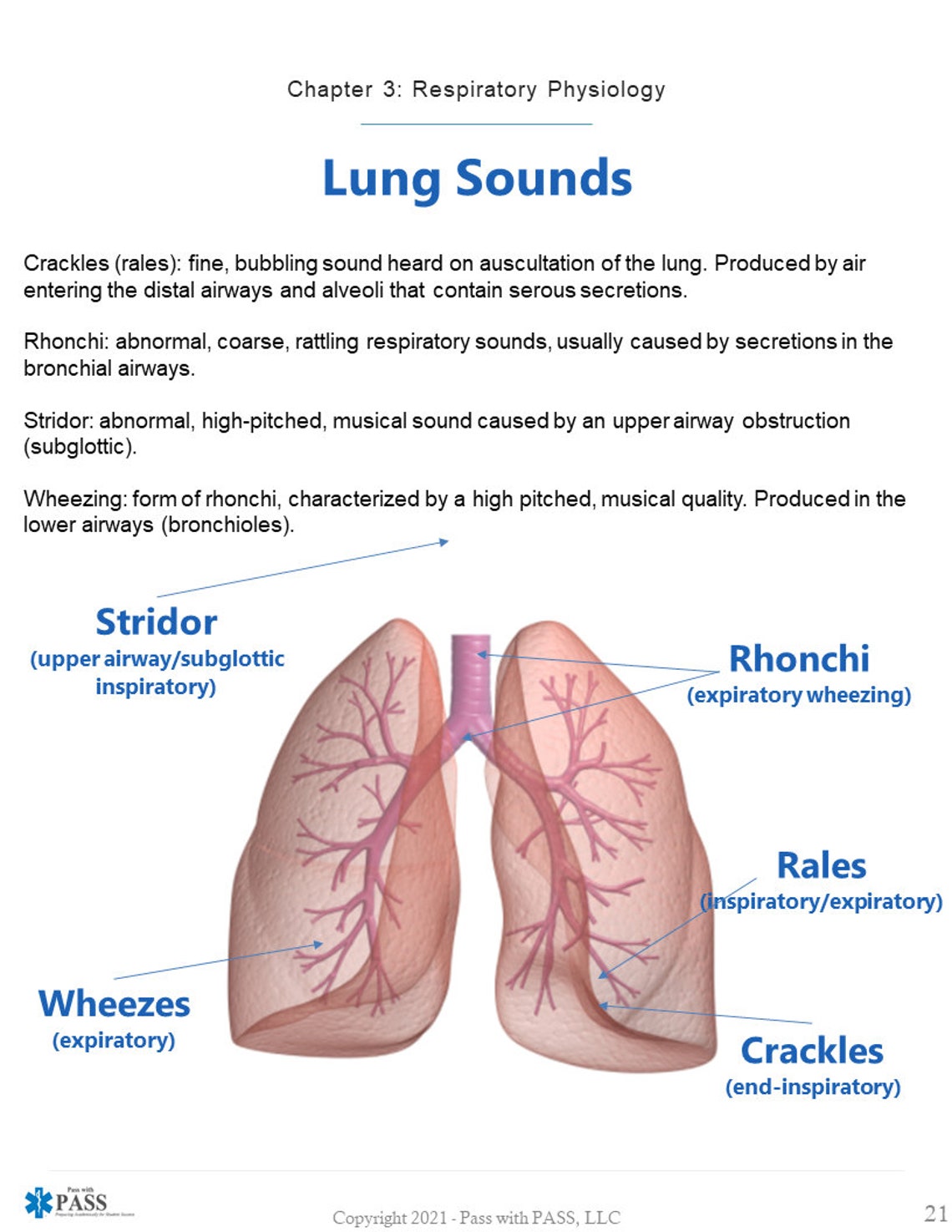 AEMT Respiratory & Airway Study Guide - Etsy