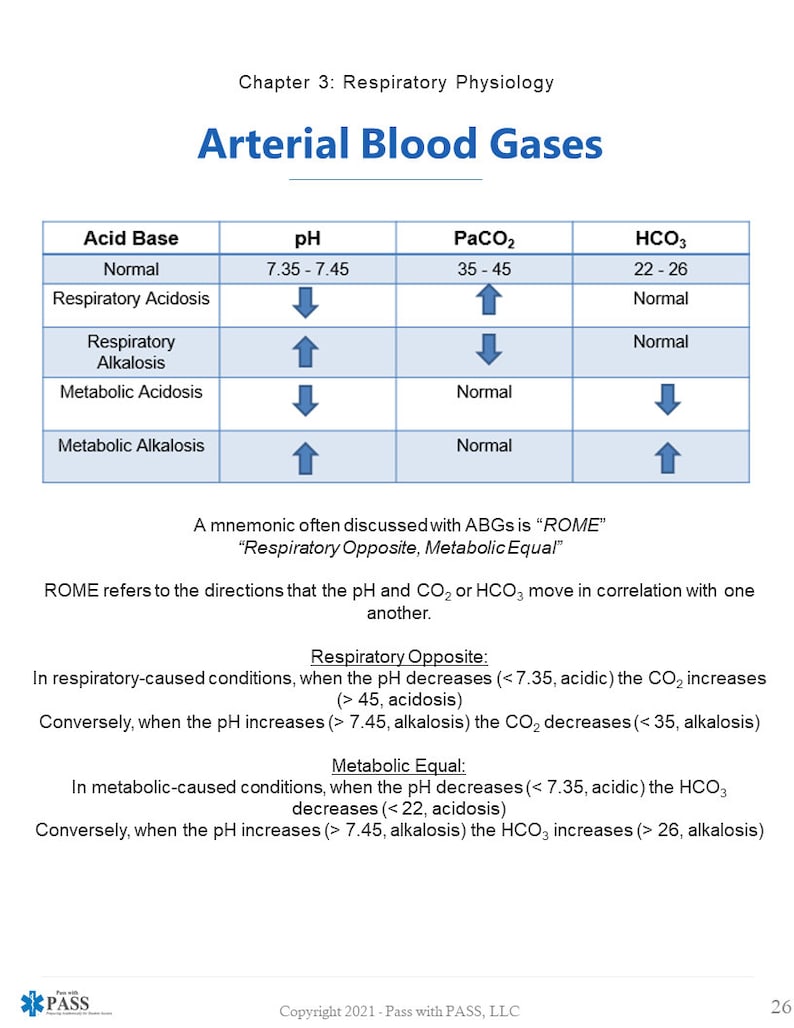 Paramedic Respiratory & Airway Study Guide - Etsy