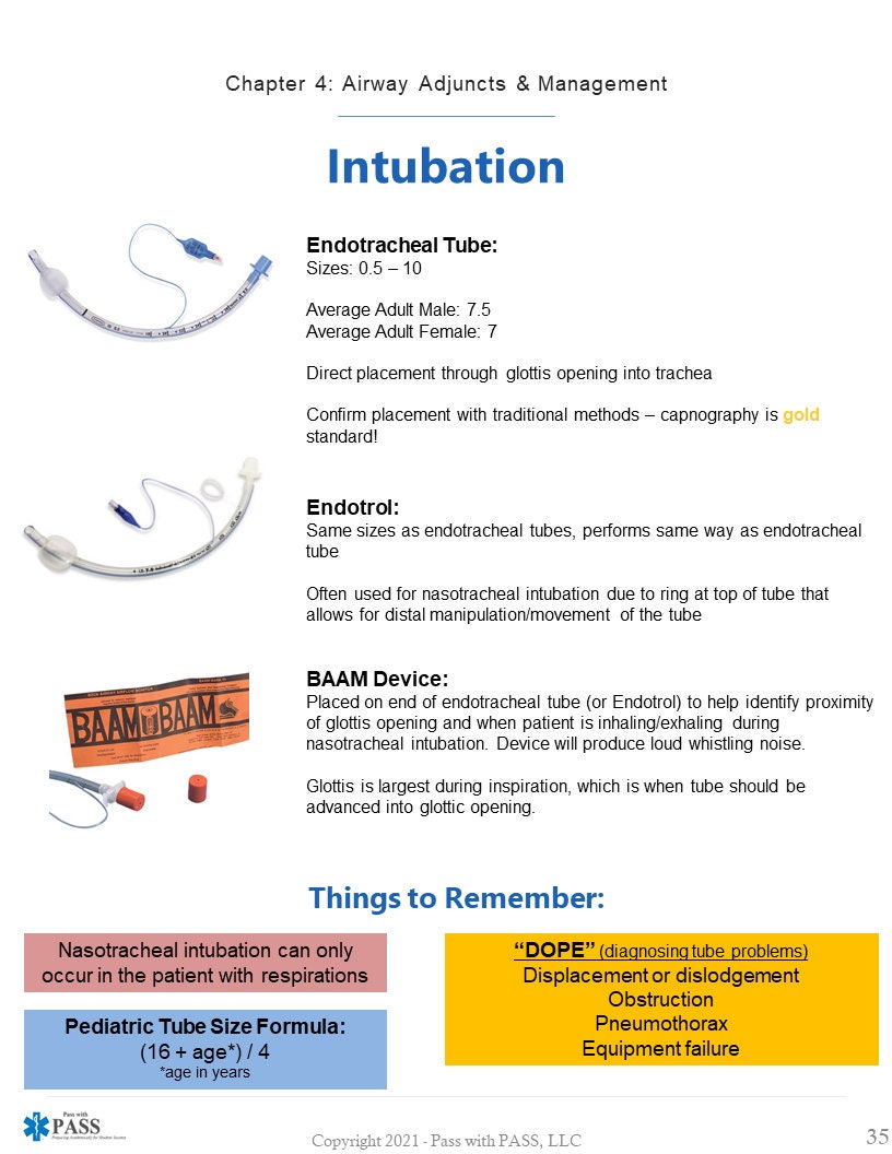Paramedic Respiratory & Airway Study Guide - Etsy