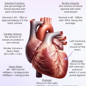 Cardiac Facts for EMS/RNs