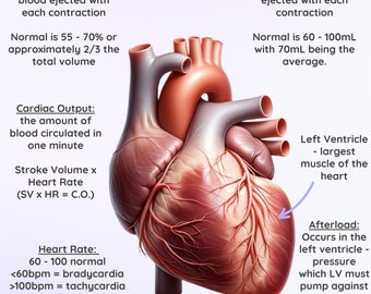 Cardiac Facts for EMS/RNs