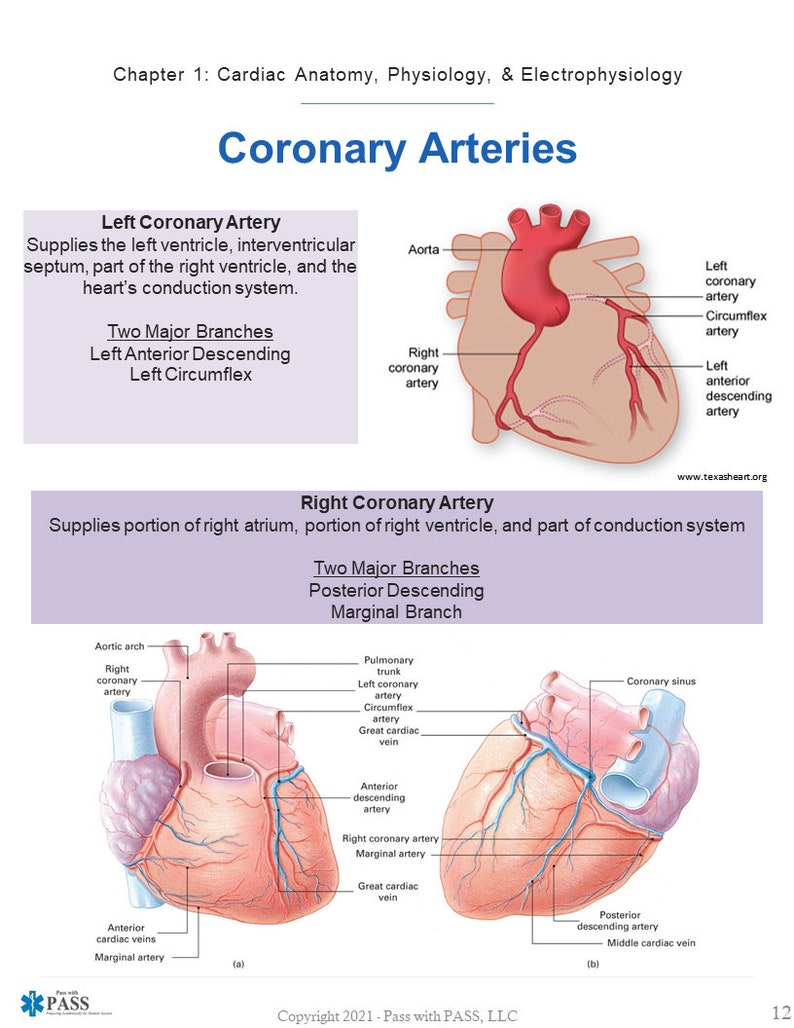 Paramedic Cardiology Study Guide Etsy paramedic-cardiology-study-guide-etsy