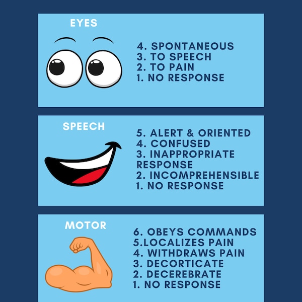 Glasgow Coma Scale Chart (GCS)