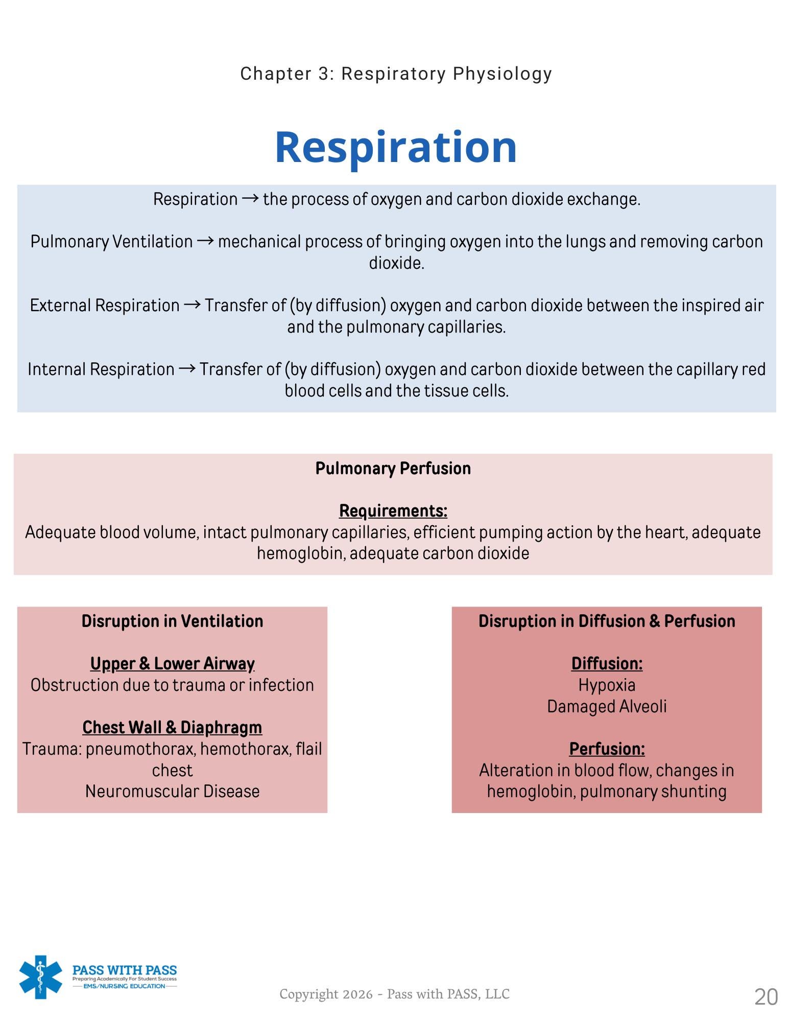 EMT Respiratory & Airway Study Guide - Etsy