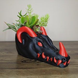 May include: Black dragon planter with red horns and teeth, holding a variety of green succulents.