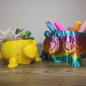 May include: Two turtle-shaped containers. One is yellow and holds a succulent plant. The other is a rainbow of colours and holds colourful pens. Both have a smiling face and four legs.