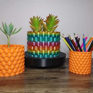 May include: Three decorative planters with a honeycomb design. One is orange and holds a succulent, another is rainbow-coloured with a faux succulent, and the third is orange and holds coloured pencils. The planters are on a wooden surface.
