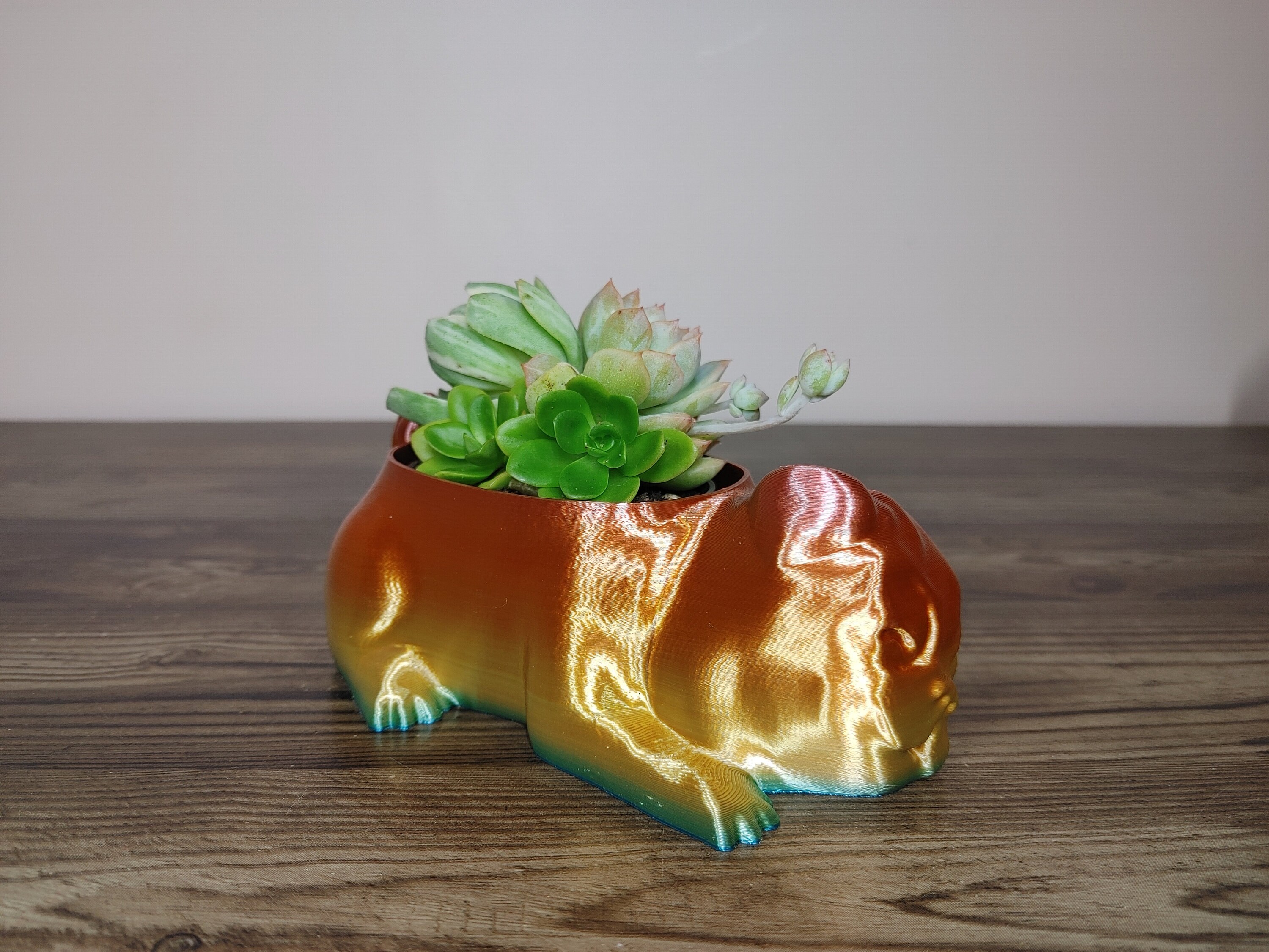 Pug Pot Pug Dog Animal Indoor Planter Pot | Flowers | Succulents - Etsy Australia