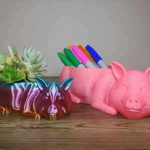 Pig Animal Indoor Planter Pot | Flowers | Succulents