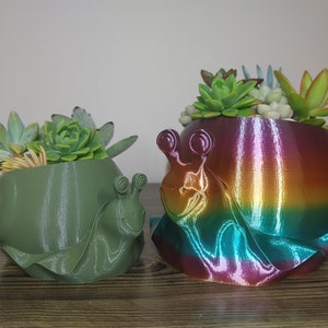Snail Animal Indoor Planter Pot | Flowers | Succulents