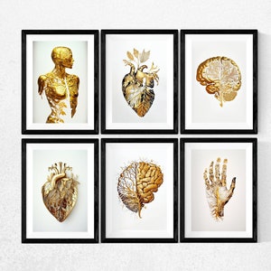 Cartel de anatomía, corazón humano/cerebro/mano/cuerpo en oro, cartel de pared, arte de pared de acuarela abstracta, descarga digital