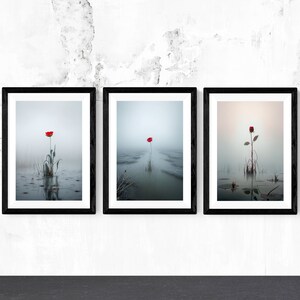 Conjunto de 3 amapolas rojas/cartel de pared rosa, arte minimalista, diseño único, estampado de flores/niebla, descarga digital