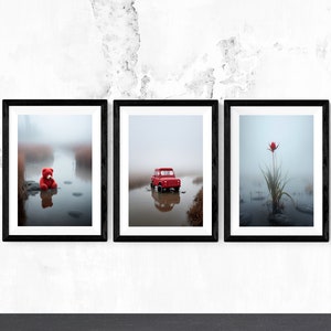 Conjunto de 3 amapolas rojas/cartel de pared rosa, arte minimalista, diseño único, estampado de flores/niebla, descarga digital