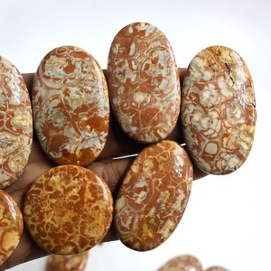 100% cristal de jaspe oeil d'oiseau naturel prix de gros lot mélange forme taille cabines de jaspe fait main fabrication de bijoux jaspe oeil d'oiseau pierres précieuses en vrac