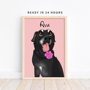 Hand-Drawn Pet Portrait, Custom Dog Painting, Pet Lover Gift, Unique Cat Art, Pet Illustration Custom, Dog Portrait, Pet Keepsake