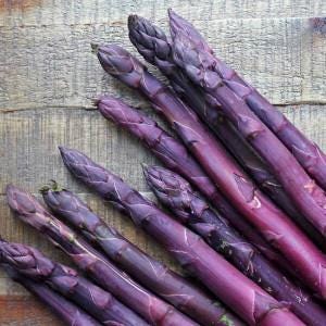 Purple Passion Heirloom 5 Bare Roots 2 Year Purple Asparagus Crowns