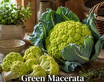 Puede incluir: Una cabeza de coliflor verde Macerata con grandes hojas de color verde oscuro y varios floretes más pequeños dispuestos sobre una superficie de madera. El texto Green Macerata Cauliflower Seeds está impreso en blanco en la parte inferior.
