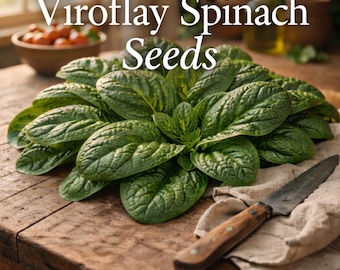 Puede incluir: Primer plano de hojas frescas y verdes de espinacas Viroflay. Las hojas están dispuestas sobre una superficie de madera con un cuchillo y un paño de lino. El texto "Viroflay Spinach Seeds" se muestra en la parte superior de la imagen.
