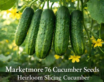 Marketmore 76 Cucumber Seeds | Heirloom Slicing Cucumber | High Yield Garden Vegetable | Non-GMO Summer Seeds